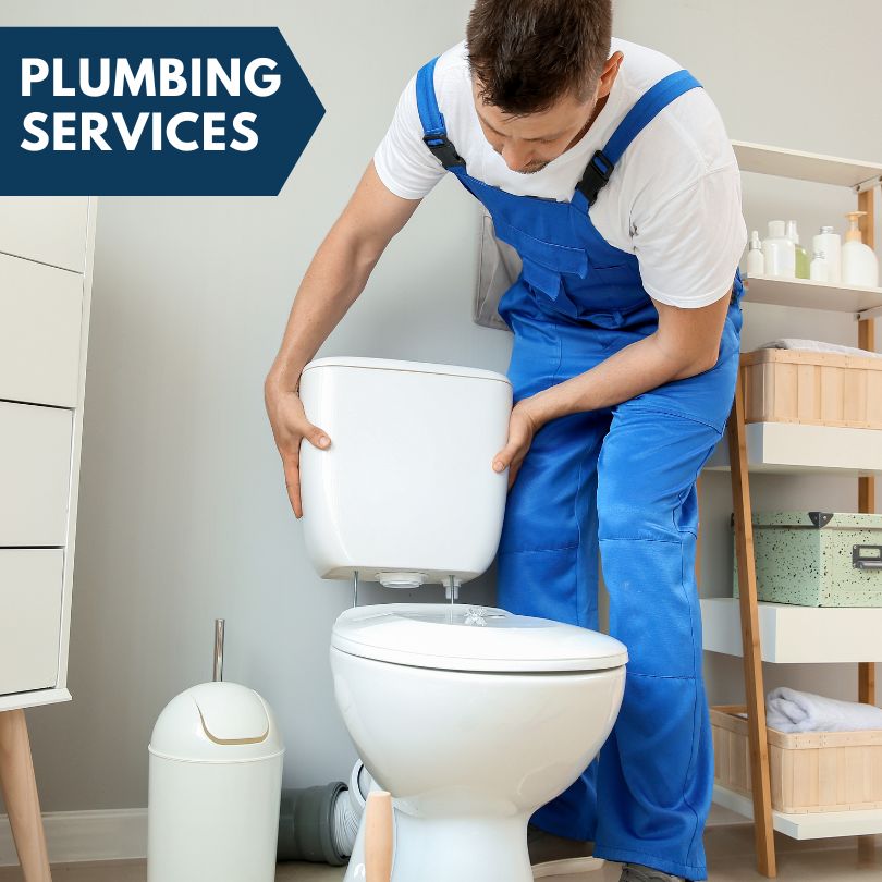 Plumbing Company in Casar, NC
